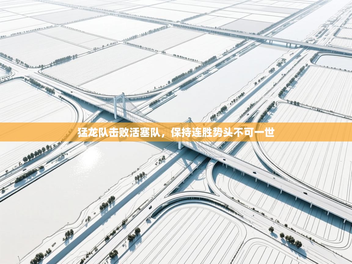 猛龙队击败活塞队,保持连胜势头不可一世 第1张