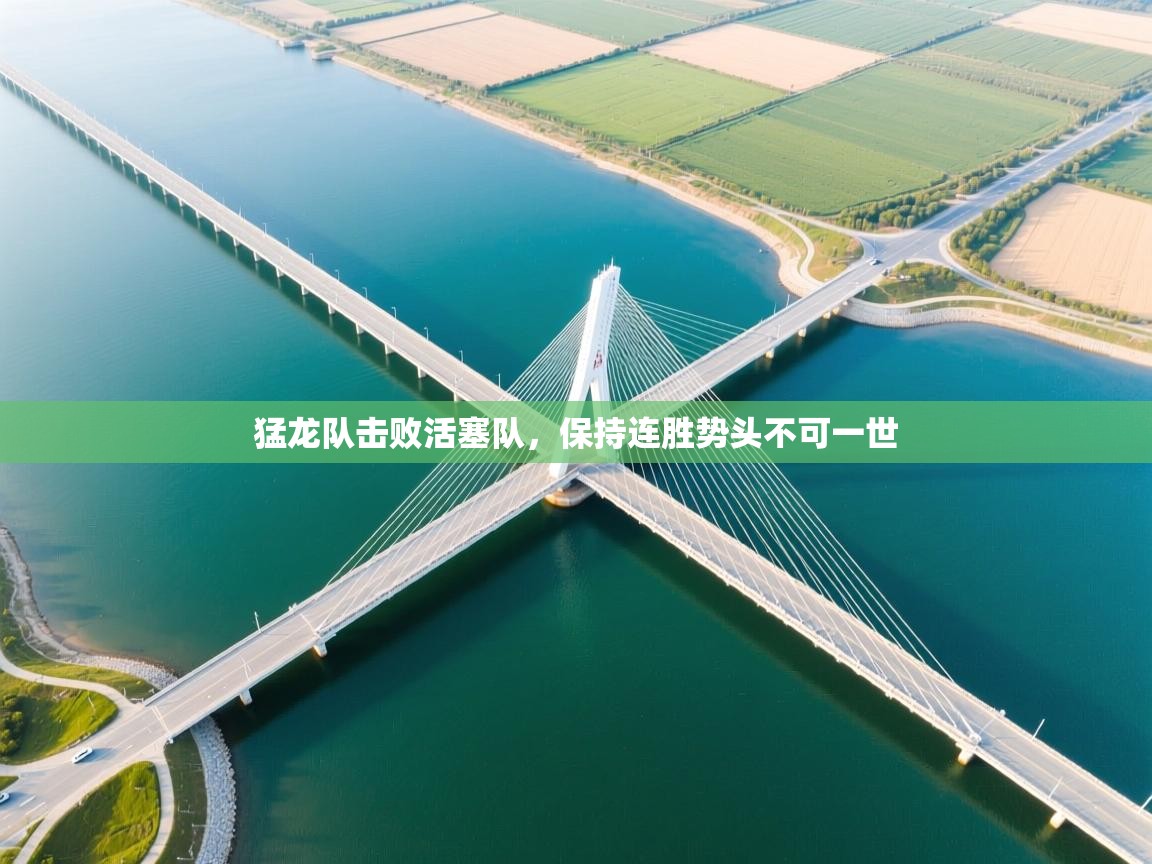 猛龙队击败活塞队,保持连胜势头不可一世 第2张